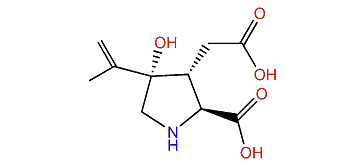 allo-4-Hydroxykainic acid